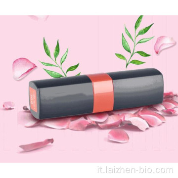 rossetto di lunga durata impermeabile di colore ricco di alta qualità